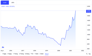 Đạm Cà Mau điều chỉnh ngày đăng ký nhận cổ tức tiền mặt tỷ lệ 8%