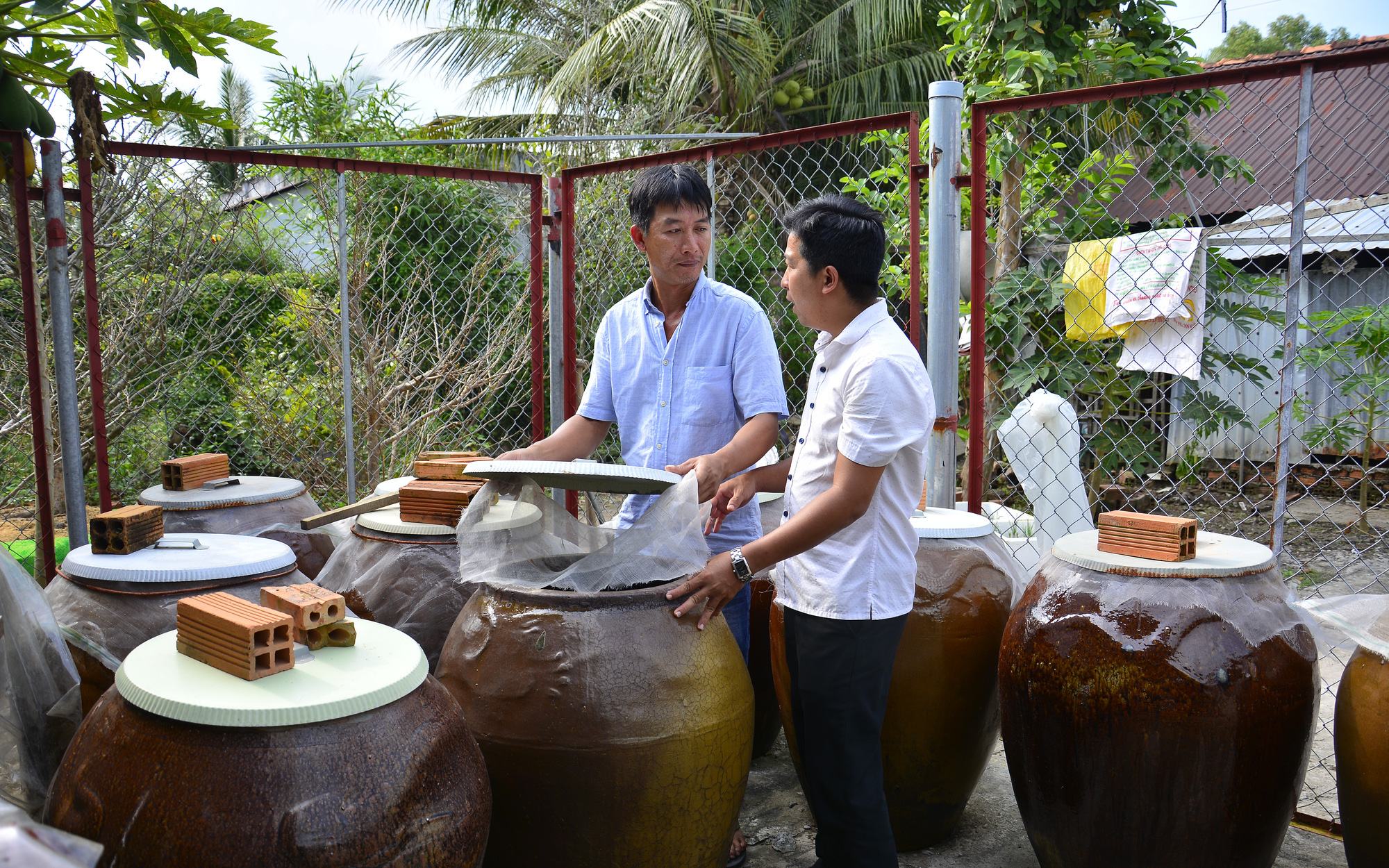 Kiên Giang: Nước mắm đồng làm từ cá gì mà ông nông dân làm ra đến đâu đều có người "khuân" đi hết?