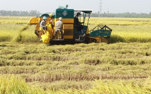 'Ngành nông nghiệp An Giang cần hướng đến chuyển đổi số' 