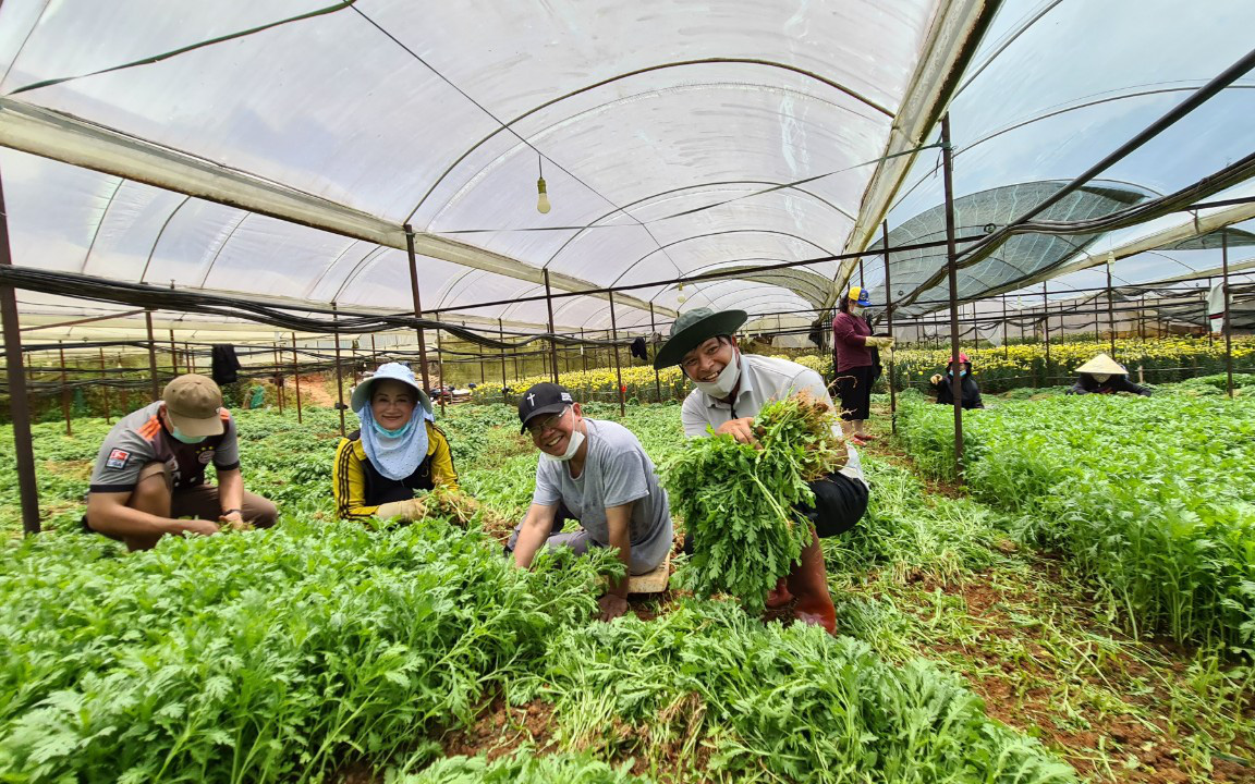 Lâm Đồng: Cung ứng rau, củ, quả phục vụ nhu cầu thị trường giá thấp hơn 30%