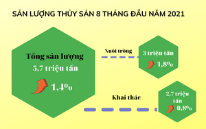 Sản lượng thủy sản 8 tháng năm 2021 đạt 5,7 triệu tấn, tăng 1,4%