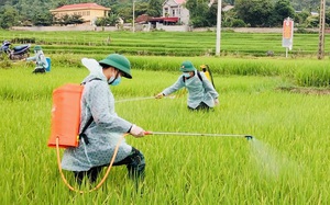 Bộ đội, Công an Sơn La: Giúp người dân Phù Yên duy trì sản xuất trong thời giãn cách vì Covid-19