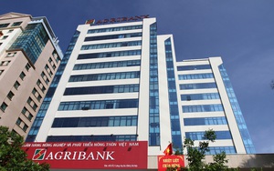 6 tháng đầu năm: Agribank hoạt động an toàn, hiệu quả, tích cực hỗ trợ khách hàng và nền kinh tế