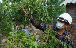 Quảng Nam: Cuộc thi “Khu dân cư nông thôn mới kiểu mẫu” qua những thước phim ấn tượng   