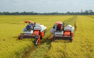 Giải “bài toán” an ninh lương thực trong đại dịch Covid-19