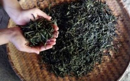 Một doanh nghiệp bị thiệt hại nặng khi xuất khẩu chè sang Pakistan