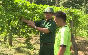 Nông thôn Tây Bắc: Giảm nghèo ở xã biên giới Lóng Sập