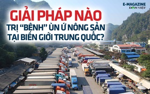 Ùn ứ nông sản tại biên giới Trung Quốc: Xuất khẩu  kiểu hên, xui (bài 1)