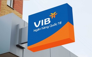 Lợi nhuận VIB vượt 8.000 tỷ đồng