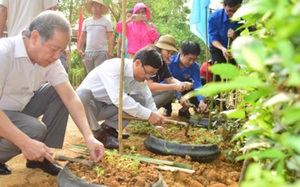 TT-Huế huy động các tổ chức, đoàn thể xây dựng "Thành phố bốn mùa hoa" 