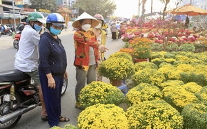 Bến Bình Đông rực rỡ sắc xuân, ôm mấy cặp cúc mâm xôi về chơi Tết sớm