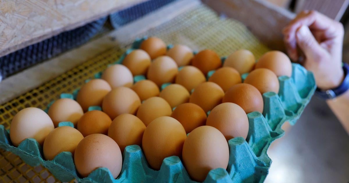 Giá trứng tăng cao buộc ngành công nghiệp thực phẩm Pháp phải thay đổi công thức nấu ăn
