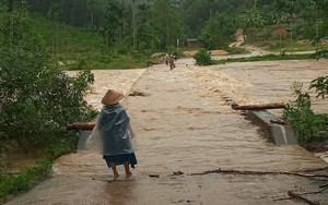 Hàng trăm hecta hoa màu, cây trồng của nông dân Bình Định bị ngập, đổ ngã do mưa lũ