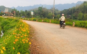 Yên Châu: Đồng lòng xây dựng nông thôn mới