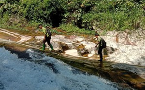 Hạt Kiểm lâm huyện Văn Bàn “vượt khó” giữ màu xanh của rừng