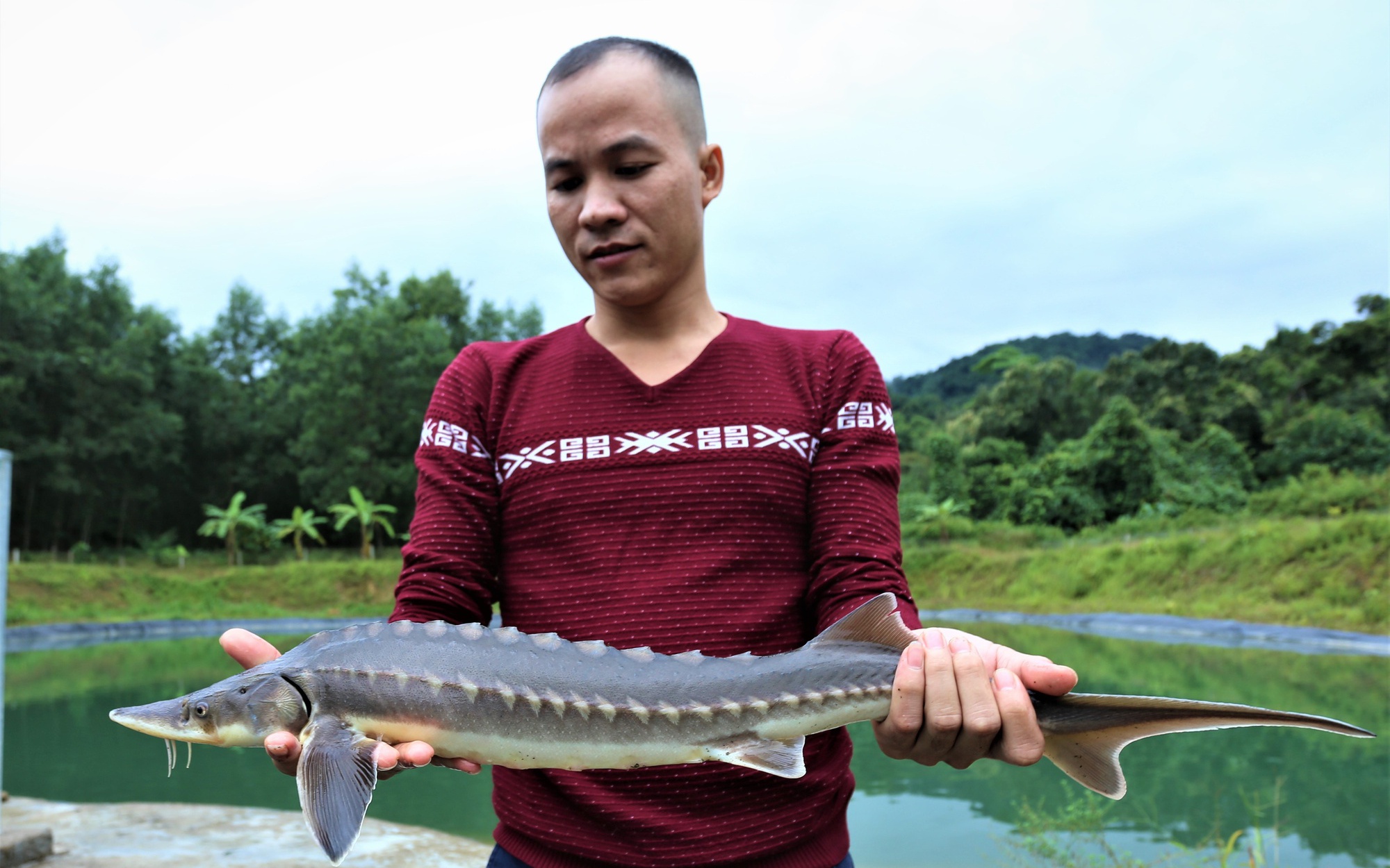 Nuôi thành công loại cá nước lạnh ở &quot;chảo lửa miền Trung&quot;