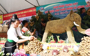 Hỗ trợ nông dân xây dựng thương hiệu, tiêu thụ sản phẩm