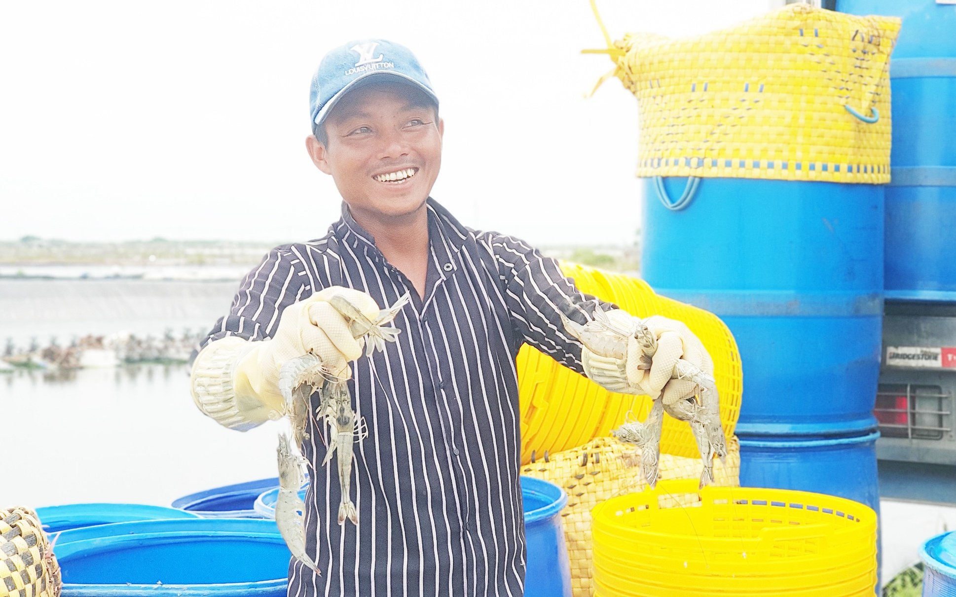 Nếu chuyển đổi số, nông nghiệp ở ĐBSCL sẽ có thêm nhiều điều kiện để cất cánh