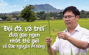 Chủ tịch UBND huyện Krông Nô, Đắk Nông: "Đội đá, vá trời"đưa gạo ngon nhất thế giới về cao nguyên M'nông