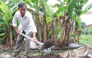 Rủ nhau tự làm phân bón, những nông dân này ở Long An nói điều gì mà ai cũng bất ngờ?