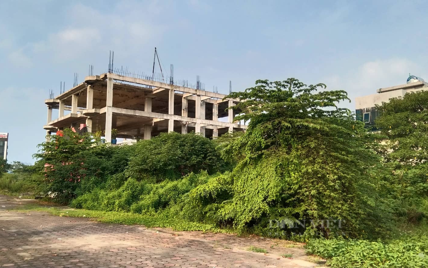 Tạm dừng thực hiện quyết định "đổi chủ dự án" liên quan đến khu đô thị Thanh Hà, Mỹ Hưng Cienco 5