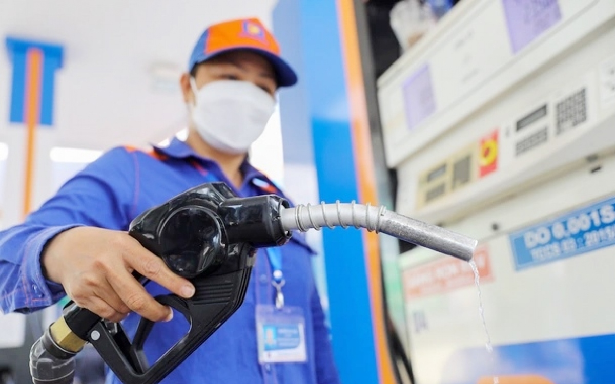 Quốc hội giao Chính phủ phân chia thuế bảo vệ môi trường đối với sản phẩm xăng, dầu