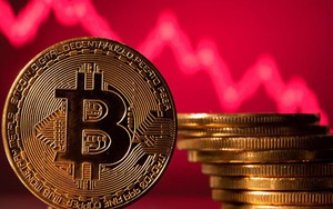 Giá Bitcoin hôm nay 14/11: Lao dốc về 16.000, thị trường tiền ảo lại rực lửa sau tin xấu về sàn FTX