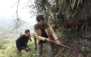 Sìn Hồ chú trọng công tác quản lý, bảo vệ rừng