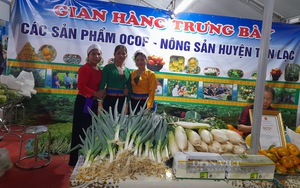 Đem loại củ khổng lồ nhìn như sâm Hàn Quốc đến hội chợ OCOP ở Hoà Bình, bất ngờ khách "hốt" sạch