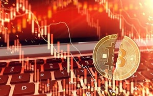 Giá Bitcoin hôm nay 27/11: Thị trường tiền ảo mất giá, chuyên gia cảnh báo thị trường "bàn tay gấu"