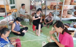 TT-Huế: Tổ chức 194 lớp nghề nông nghiệp và phi nông nghiệp cho 4.654 nông dân 