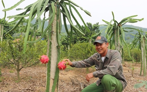 Lục Nam (Bắc Giang): Giàu đẹp từng ngày