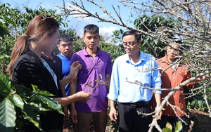 Cầm tay chỉ việc, giúp nông dân phát triển kinh tế