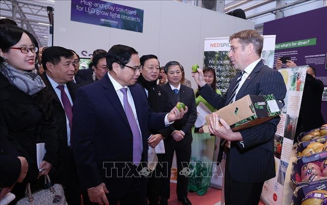 Thủ tướng Phạm Minh Chính thăm mô hình trồng trọt kết nối &quot;3 nhà&quot; ở Hà Lan