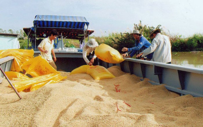Xuất khẩu gạo đã thu về trên 3,23 tỷ USD, thị trường giao dịch tiếp tục sôi động đầu tuần