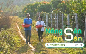 NÔNG SẢN LÊN SÀN: Đến Sơn La gặp gỡ &quot;ông trùm cà phê&quot; đất Bắc 