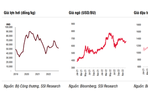 SSI Research: Giá heo hơi không tăng đột biến trong năm 2023, dao động mức 60.000 đồng/kg