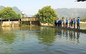 Nữ tỷ phú này ở Lào Cai nuôi con gì dưới ao mà bao người đến xem, năm nào cũng thu tiền tỷ?