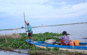 Đổ dớn bắt cá đặc sản nơi đầu nguồn An Giang, còn đâu cảnh cá chạy dày đặc, mua được cả tấn