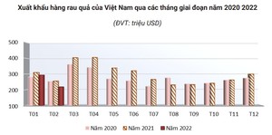 Vì sao xuất khẩu rau quả sang Trung Quốc giảm mạnh trong 2 tháng đầu năm?