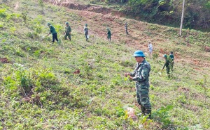 Bộ đội Biên phòng Sơn La hưởng ứng Đề án trồng một tỷ cây xanh