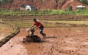  Yên Châu chú trọng nâng cao giá trị thu hoạch trên 1 ha đất