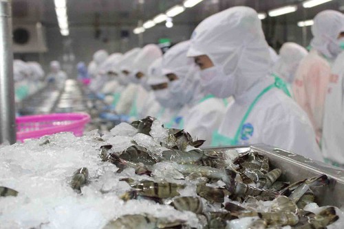 Thực phẩm Sao Ta (FMC): Doanh số tháng 2 đạt hơn 11 triệu USD