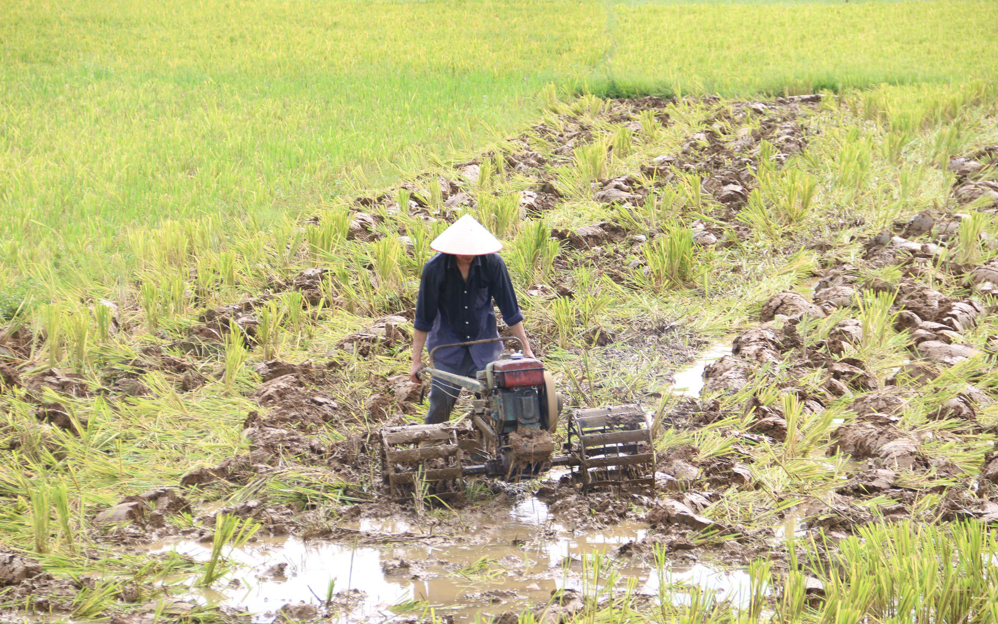 Hội Nông dân tỉnh Hoà Bình: Chăm lo xây dựng Hội vững mạnh