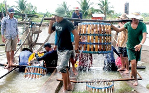 Mỹ, Trung Quốc ráo riết thu gom, 8 loại nông sản này của Việt Nam đột ngột tăng giá trị xuất khẩu