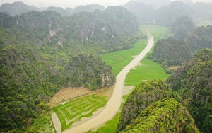 Chiêm ngưỡng “Cờ hội-sắc vàng Tam Cốc” ở  Ninh Bình