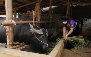 Chi hội trưởng phụ nữ năng động, nhiệt tình trong công tác hội