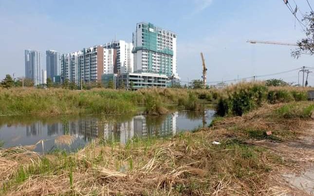 Vụ doanh nghiệp bỏ cọc đấu giá đất Thủ Thiêm: Cần quy định thống nhất về "luật chơi" trong đấu giá đất