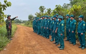 Trung đội tự vệ Công ty Nhôm Đắk Nông - TKV (DNA) hoàn thành khoá huấn luyện năm 2022