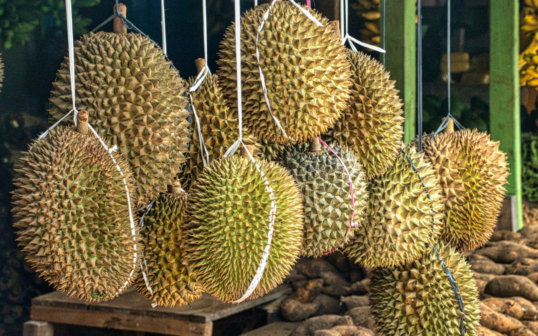 Đề xuất họp chung Thái Lan, Trung Quốc, Lào và Việt Nam nhằm tăng xuất nhập khẩu trái cây
